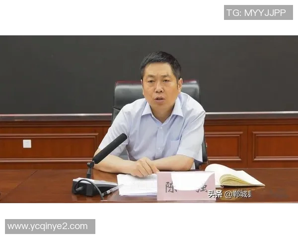 对话陈强:回顾网球生涯的起伏与成就分享 对话陈强:回顾网球生涯的起伏与成就分享