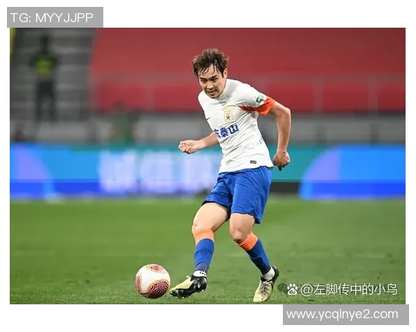 武汉排球队在洲际杯中的耐力表现值得称赞与反思